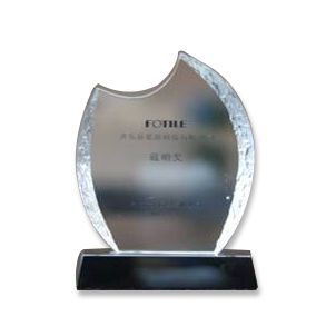 2013年方太团体“戴明奖”