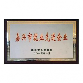 嘉兴市失业前进前辈企业