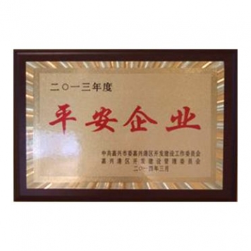 2013年度安然企业