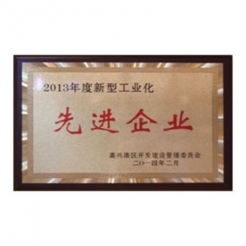 2013年度新型产业化前进前辈企业